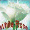 �White